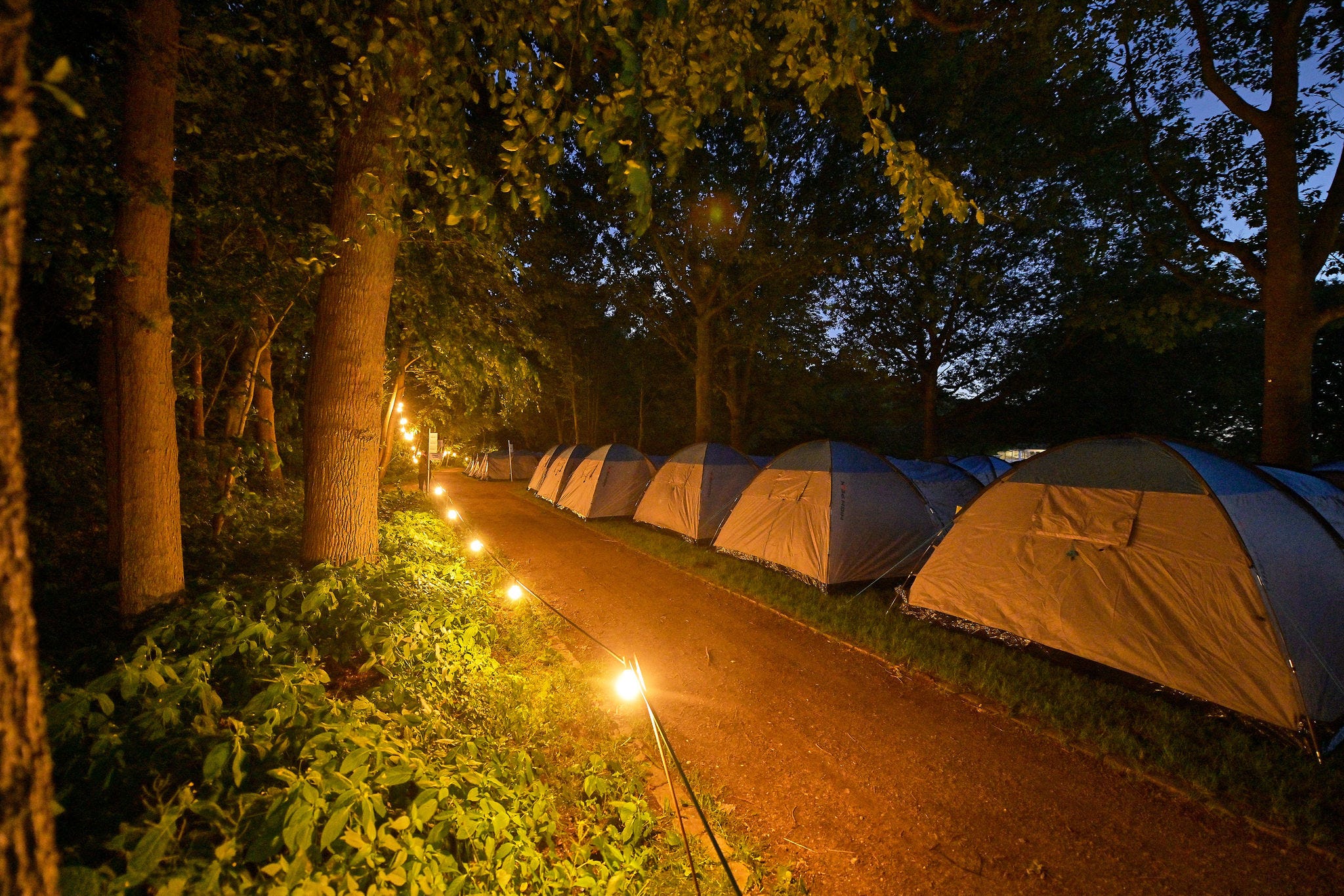 220707_novonordisk_campd