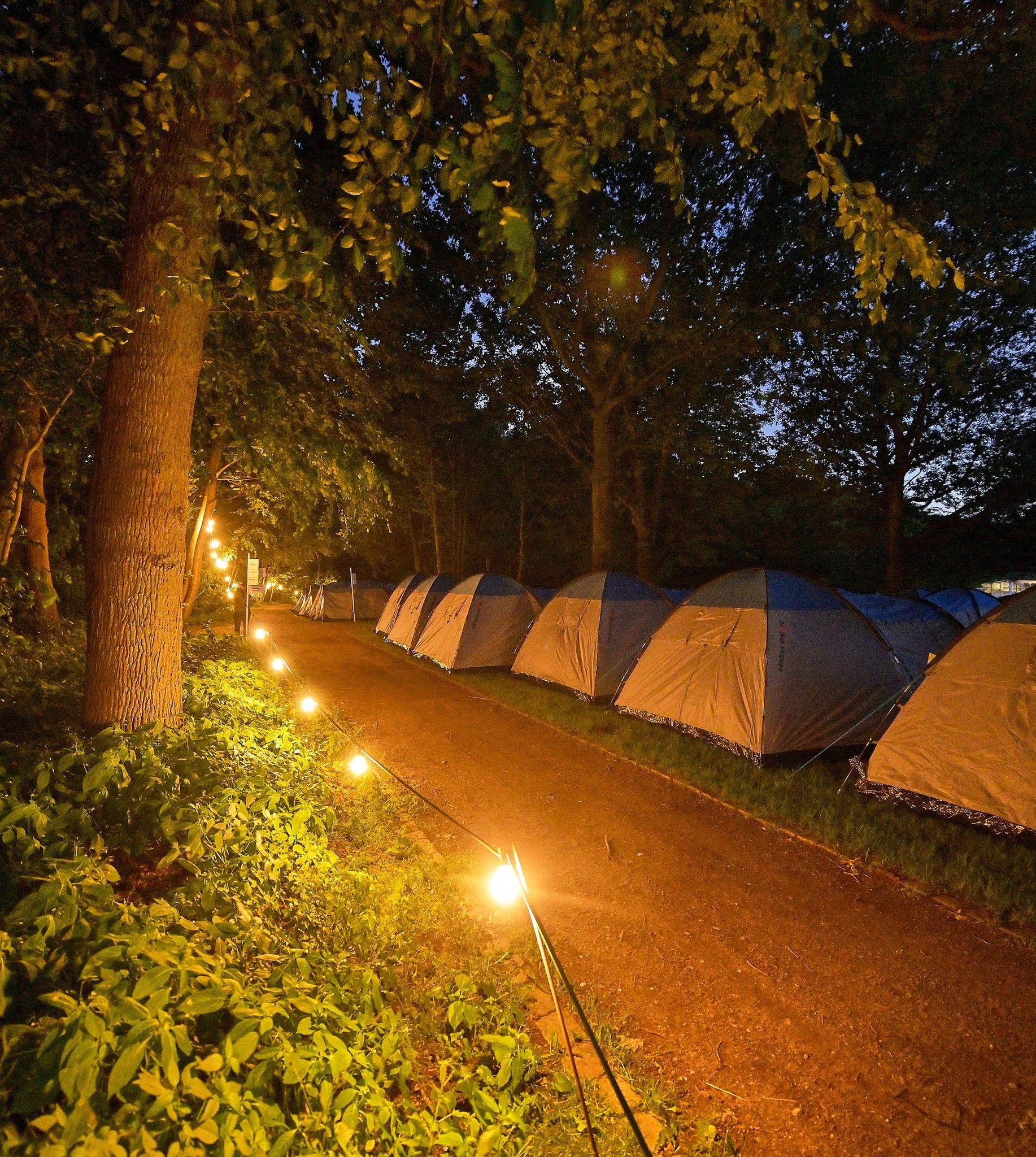 220707_novonordisk_campd